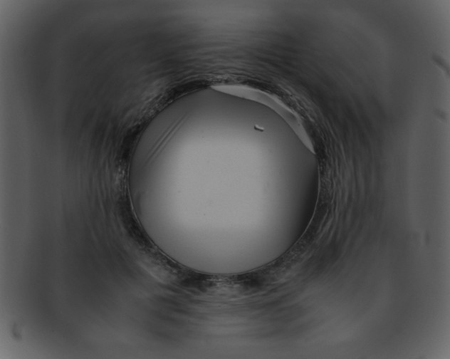 X0000093120601200710171247