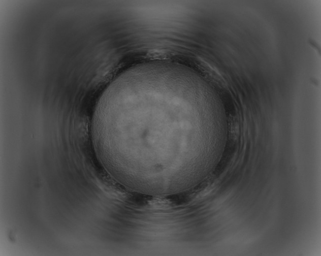 X0000093120603200710171247