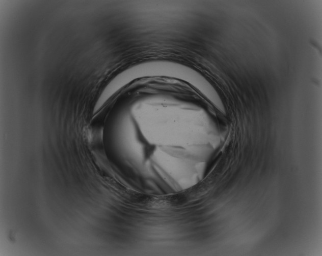 X0000093120604200710171247