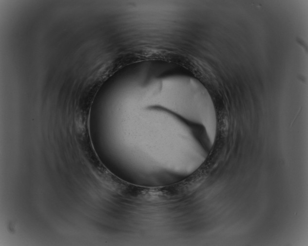 X0000093120607200710171247