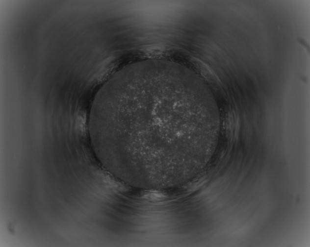 X0000093120610200710171247