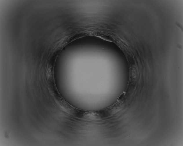 X0000093120611200710171247