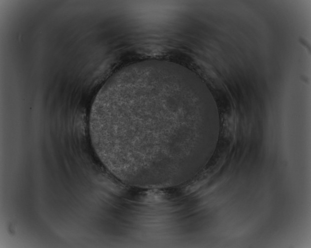 X0000093120612200710171247