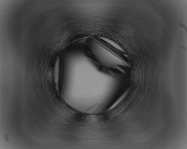 X0000093120613200710171247