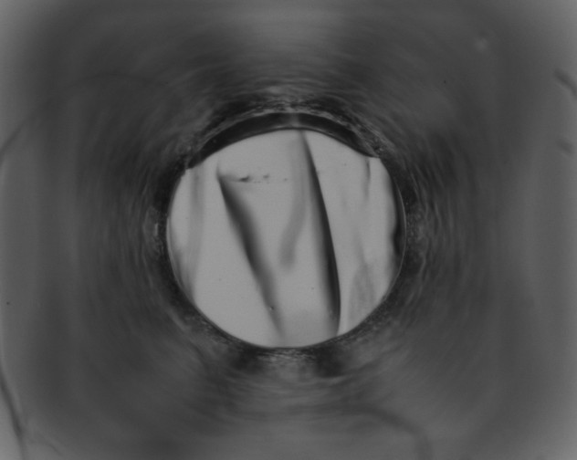 X0000093120615200710171247