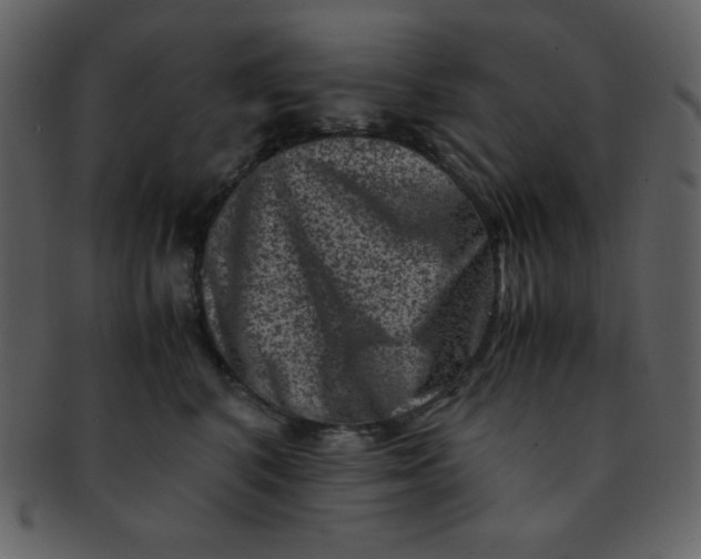 X0000093120616200710171247