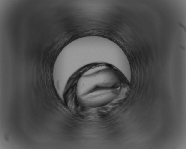 X0000093120617200710171247