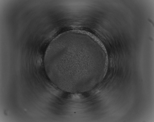 X0000093120618200710171247