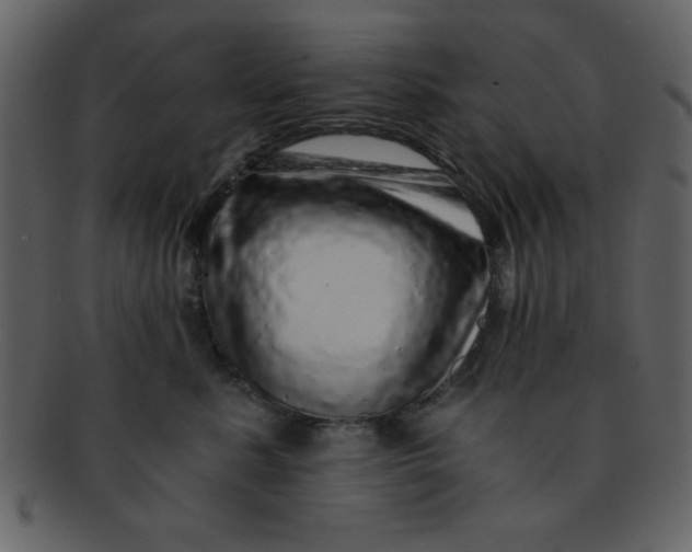 X0000093120619200710171247