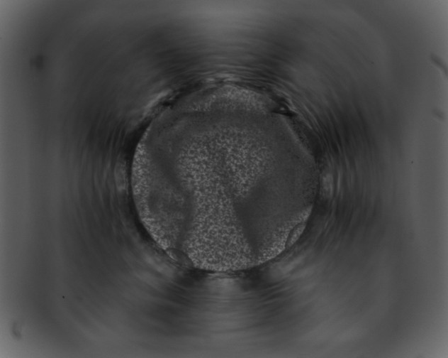 X0000093120620200710171247