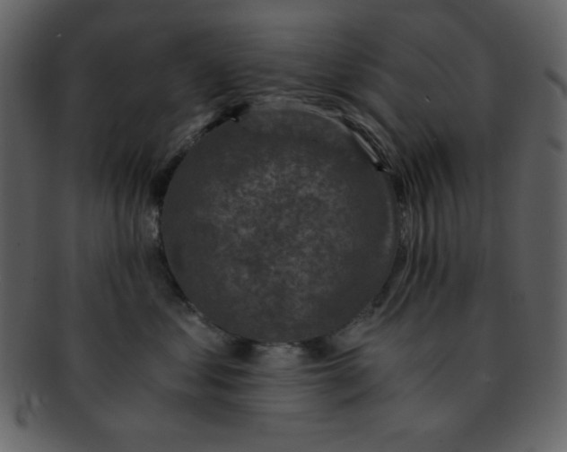 X0000093120621200710171247