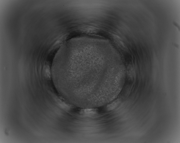 X0000093120622200710171247