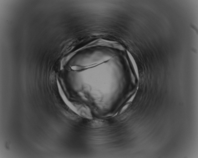 X0000093120623200710171247