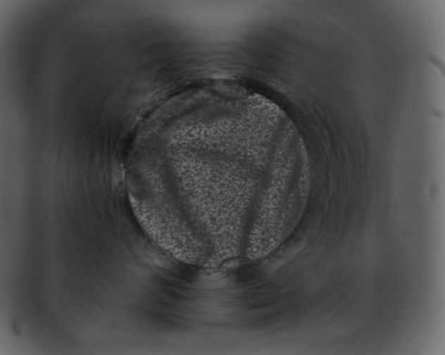 X0000093120624200710171247