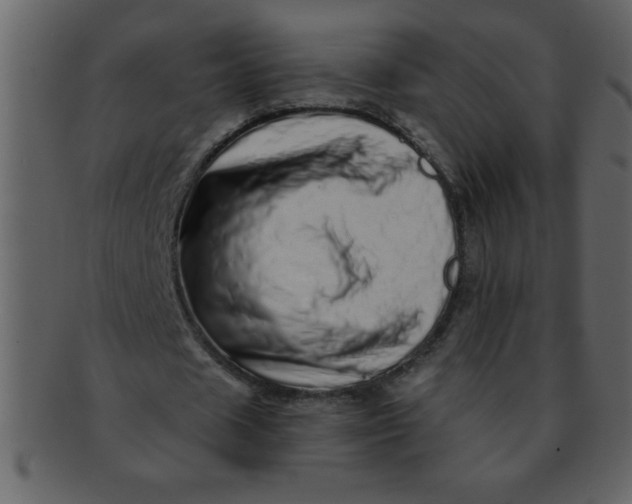 X0000093120625200710171246