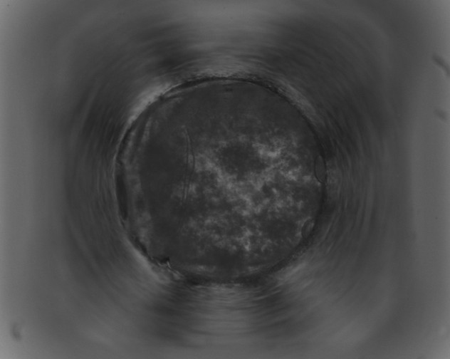 X0000093120626200710171246