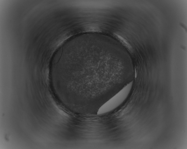 X0000093120627200710171246