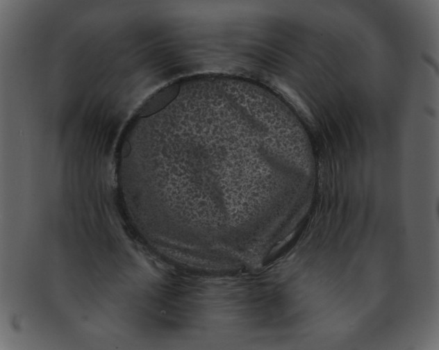 X0000093120628200710171246