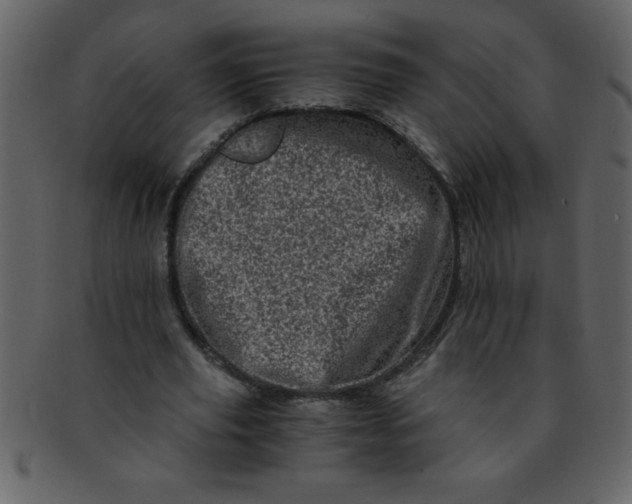 X0000093120629200710171246