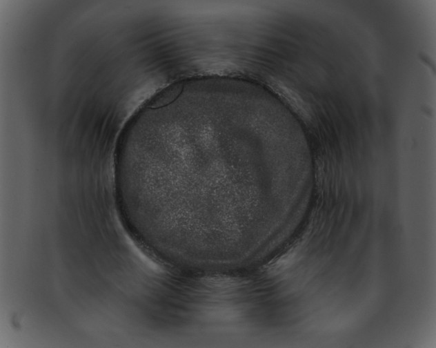 X0000093120630200710171246