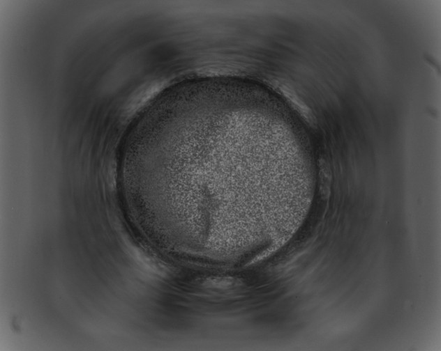 X0000093120631200710171246