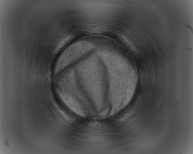 X0000093120634200710171246