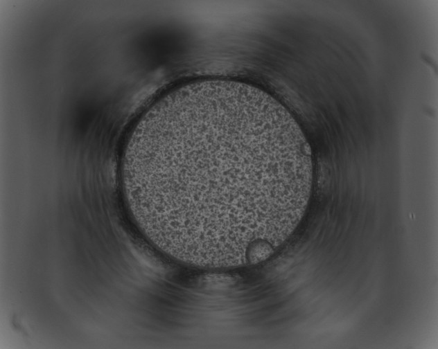 X0000093120636200710171246