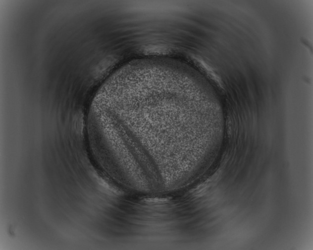 X0000093120637200710171246