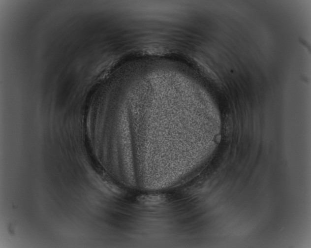 X0000093120639200710171246