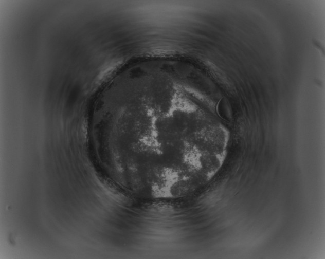 X0000093120640200710171246