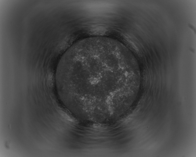 X0000093120641200710171246