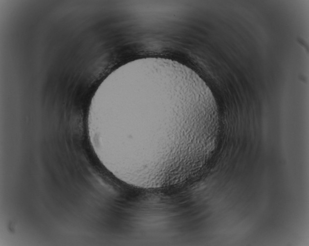 X0000093120642200710171246