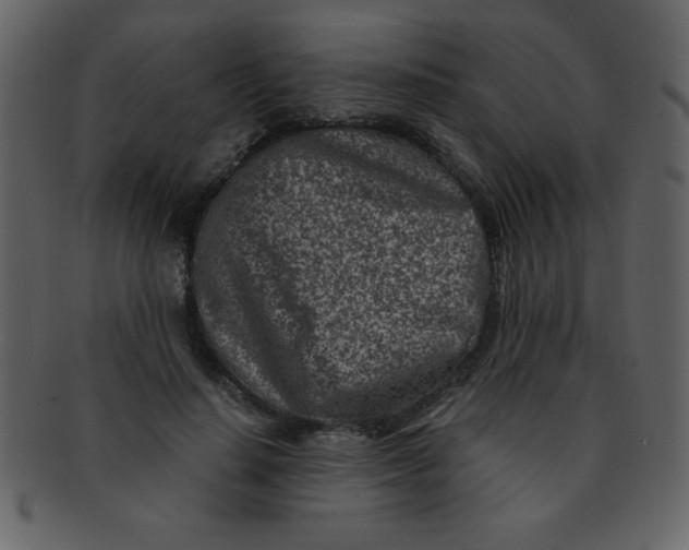 X0000093120644200710171246