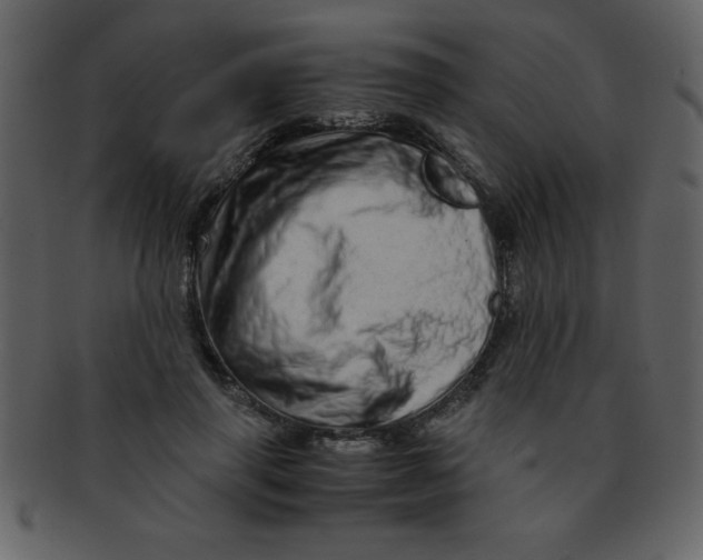 X0000093120645200710171246