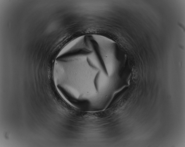 X0000093120648200710171246