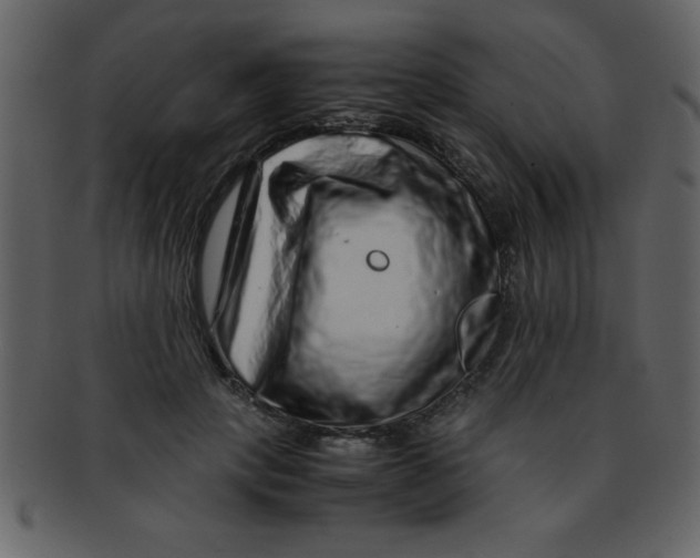 X0000093120649200710171246