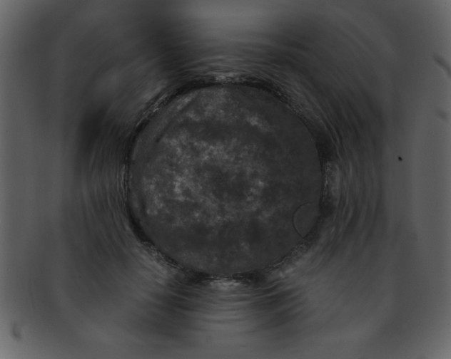 X0000093120650200710171246