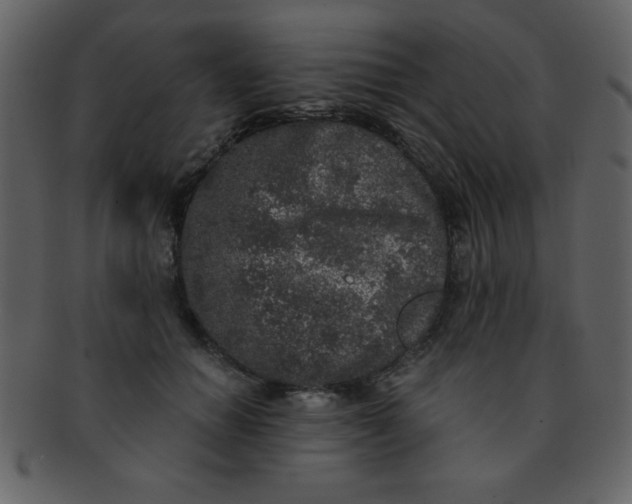 X0000093120654200710171247