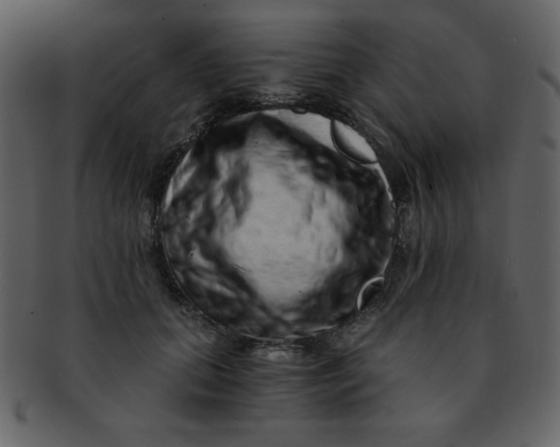 X0000093120655200710171247