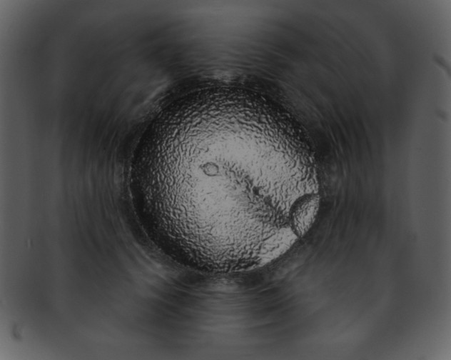 X0000093120656200710171247