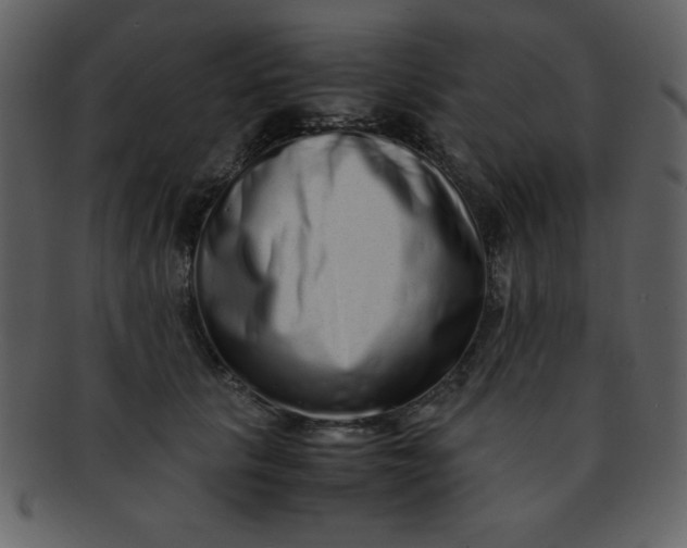 X0000093120657200710171247