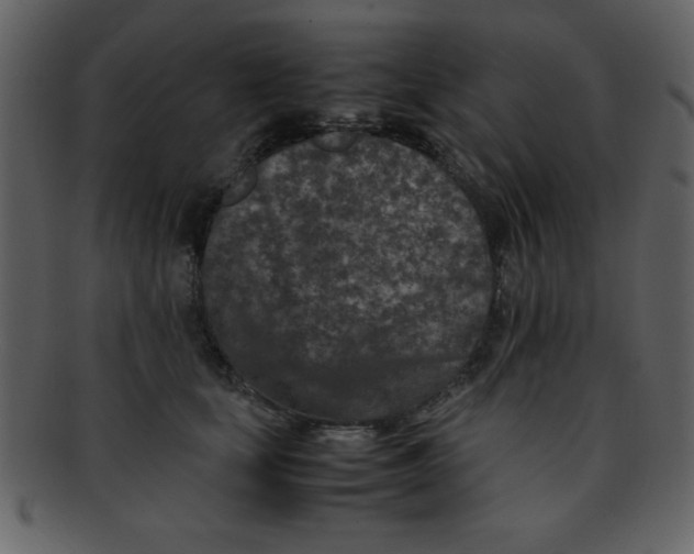 X0000093120659200710171247