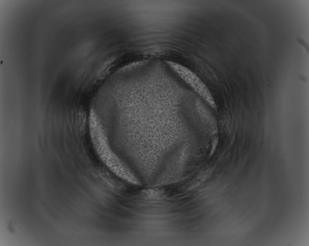 X0000093120660200710171247