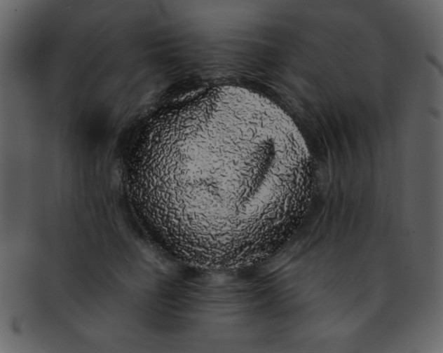 X0000093120662200710171247