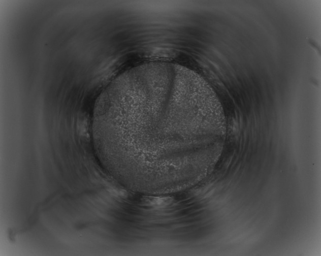 X0000093120663200710171247