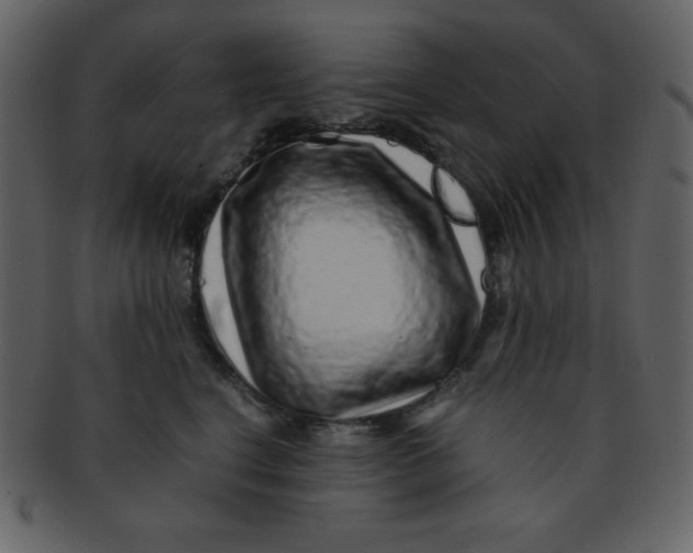 X0000093120664200710171247