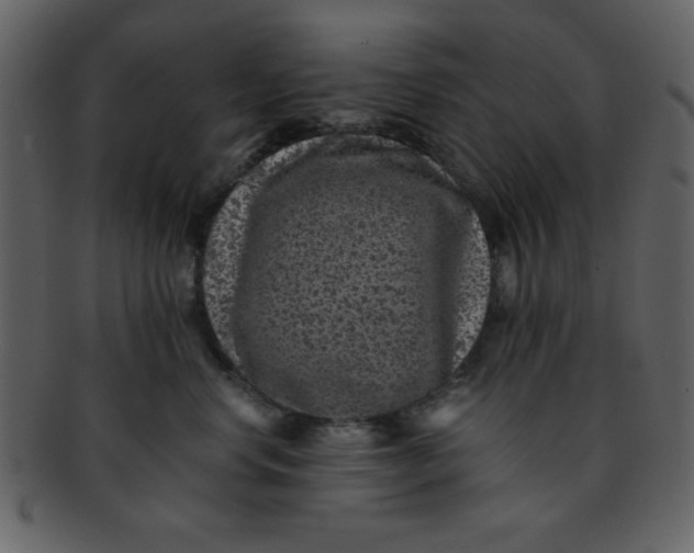 X0000093120668200710171247