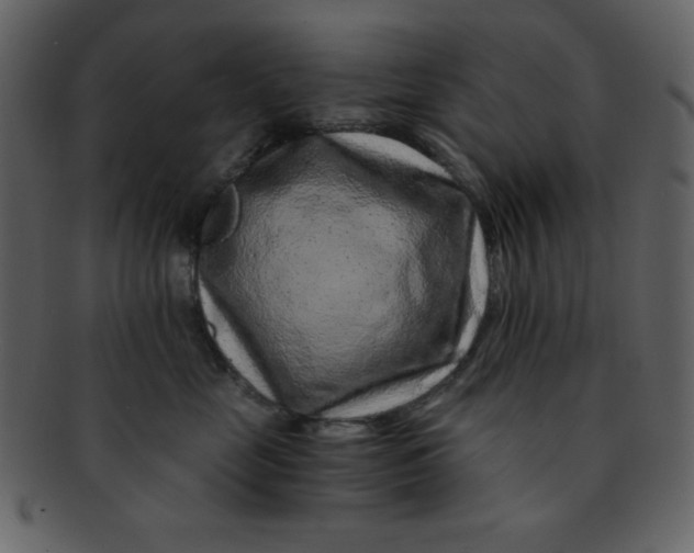 X0000093120669200710171247