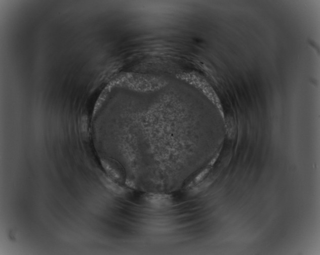 X0000093120670200710171247