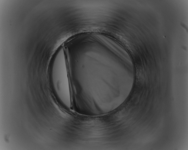 X0000093120674200710171246